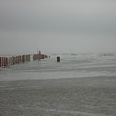 Seawolf Park
